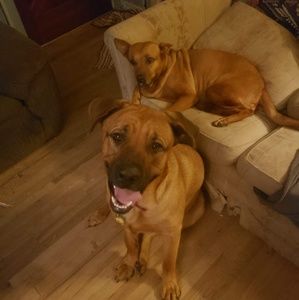 Meet your Posher, Deborah